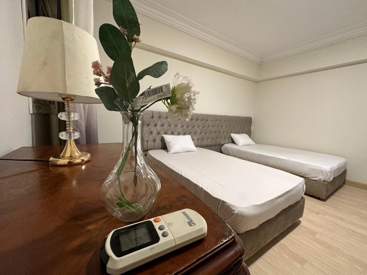 Apartment شقه فندقيه بأفضل فيو علي النيل مباشرة